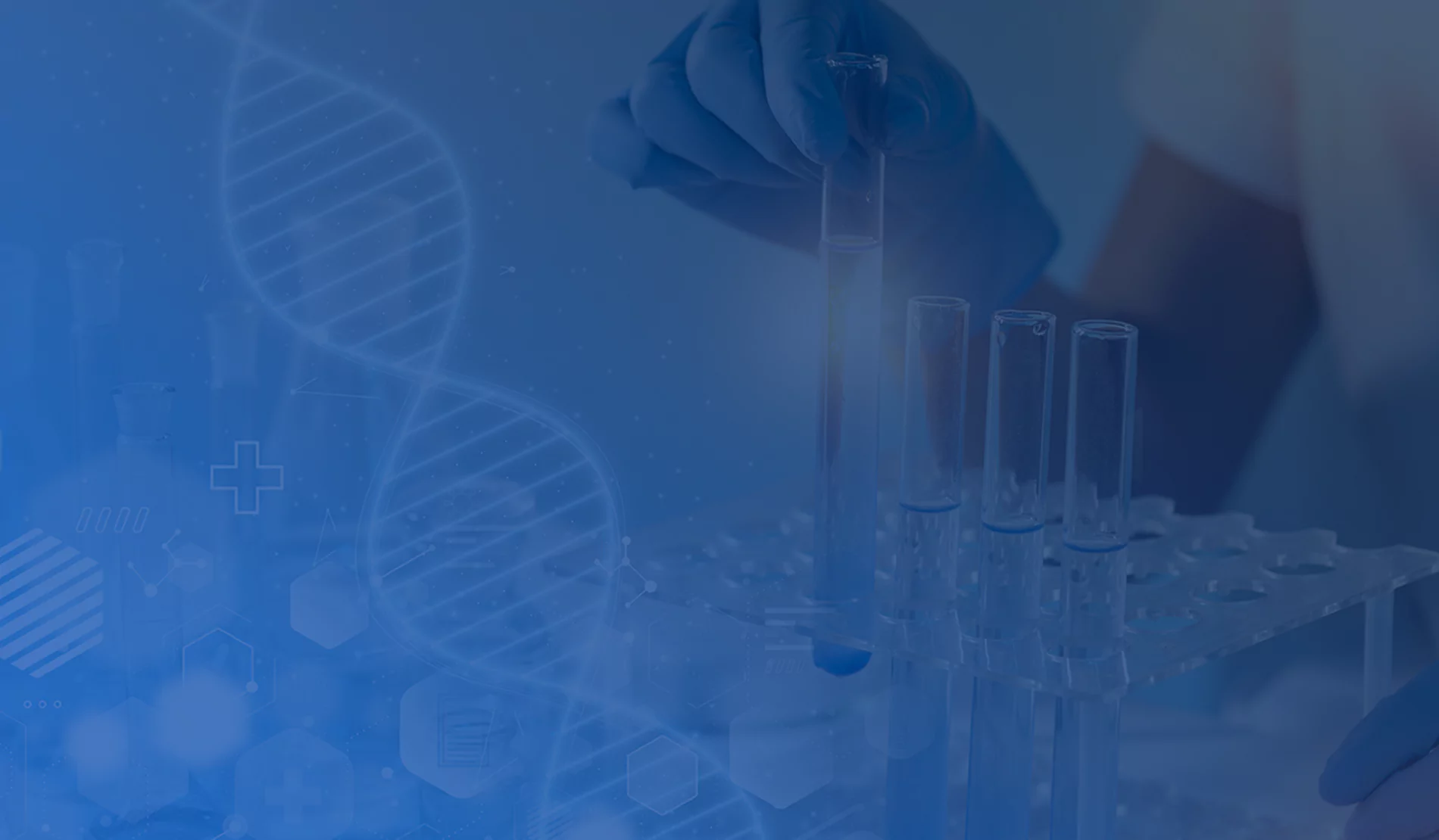 دپارتمان مولکولی و PCR